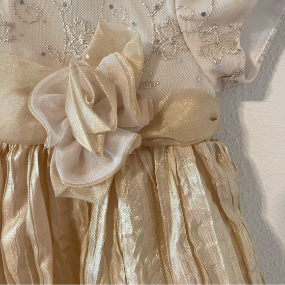Vintage Rare Editions Champagne Gold Bling Rosette Formal Dress-12 months - Picture 4 of 10